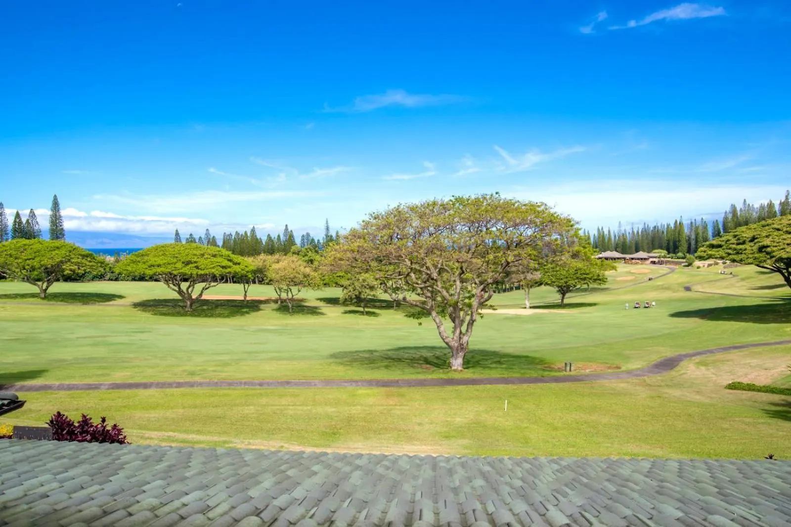 Apartment Kbm Resorts Free Car Kapalua Golf Villa Kgv-16T4 Remodeled Ocean Views United States