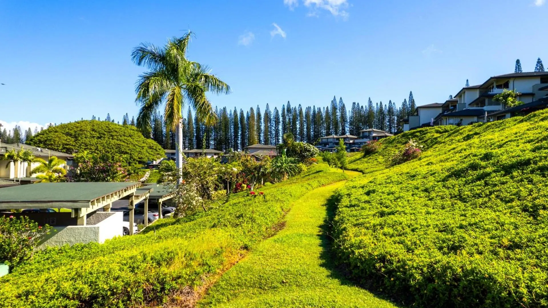 Apartment Kbm Resorts Free Car Kapalua Golf Villa Kgv-16T4 Remodeled Ocean Views
