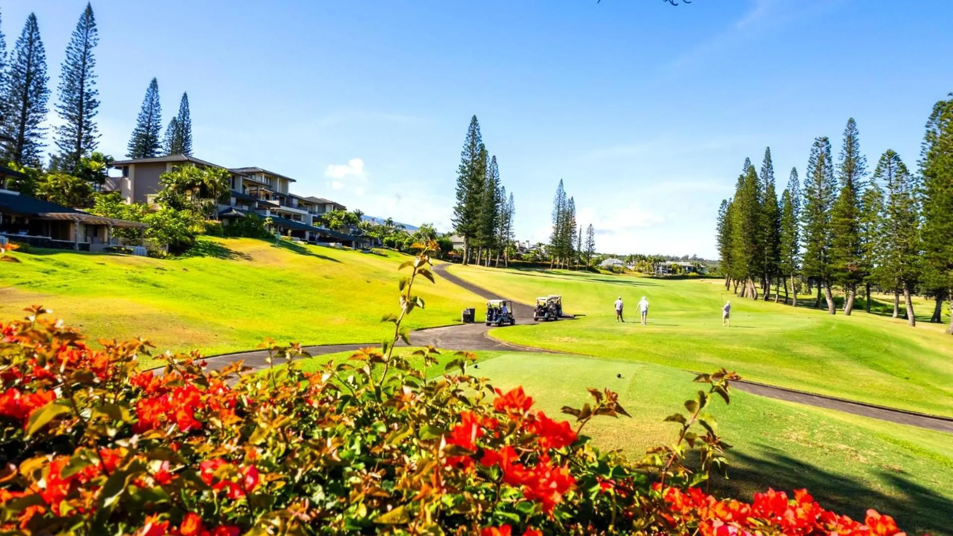 Kbm Resorts Free Car Kapalua Golf Villa Ocean View 1-Bedroom Condo Recently Remodeled Kgv-16T4 United States