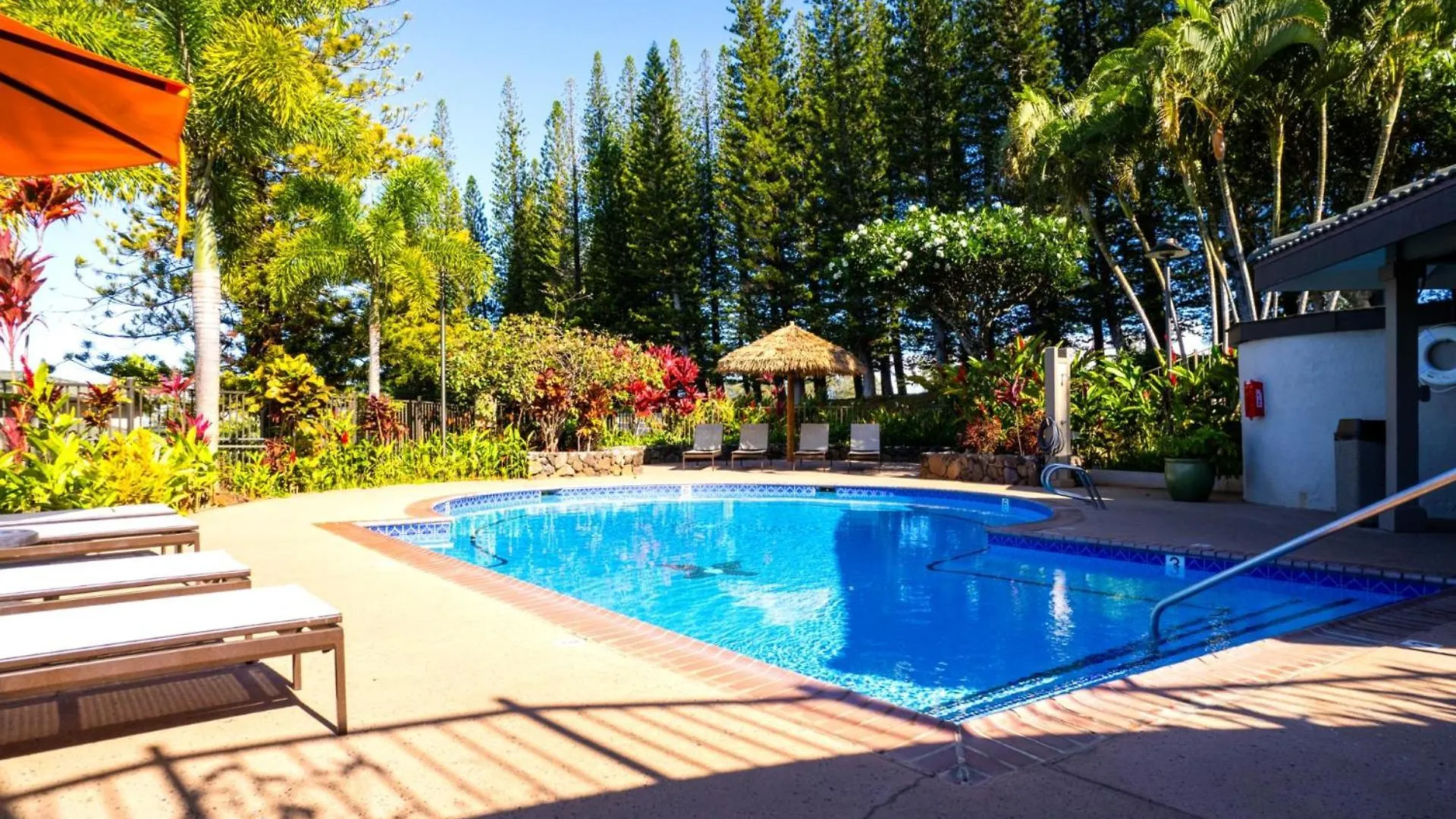 Apartment Kbm Resorts Free Car Kapalua Golf Villa Kgv-16T4 Remodeled Ocean Views