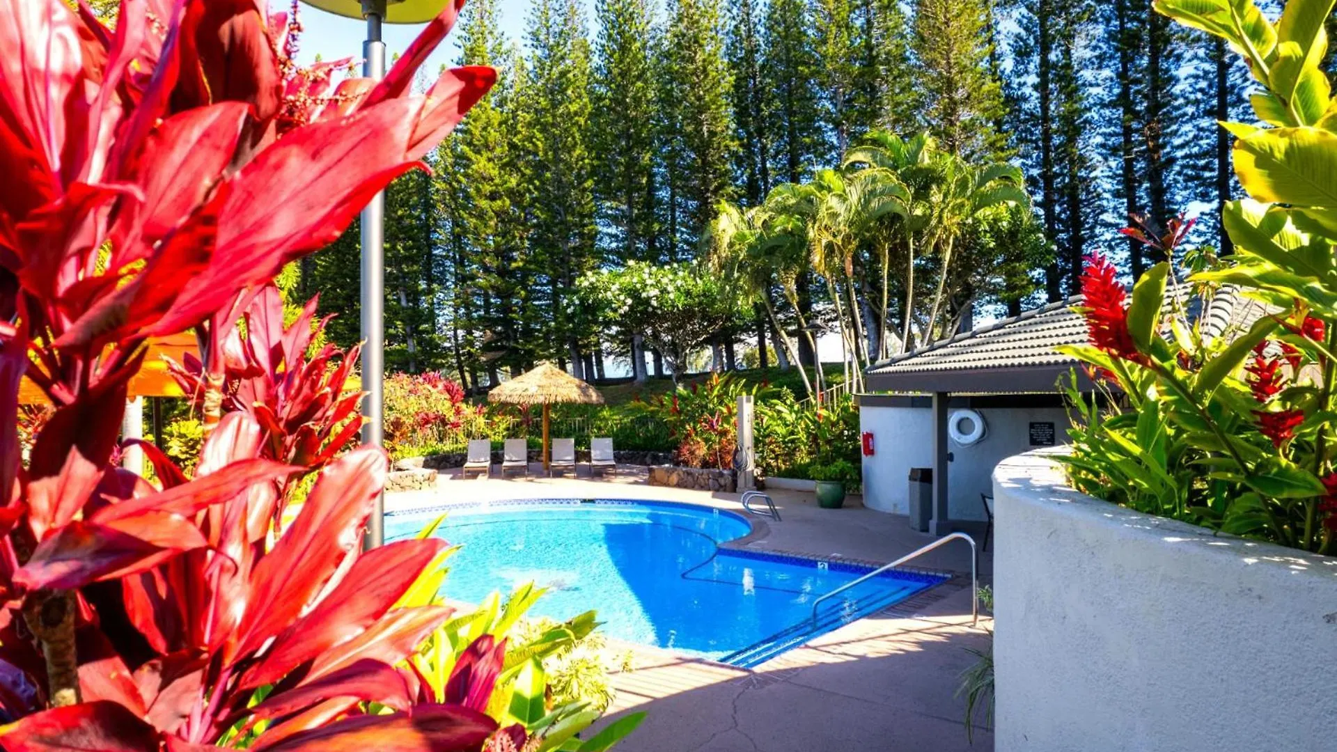Apartment Kbm Resorts Free Car Kapalua Golf Villa Kgv-16T4 Remodeled Ocean Views