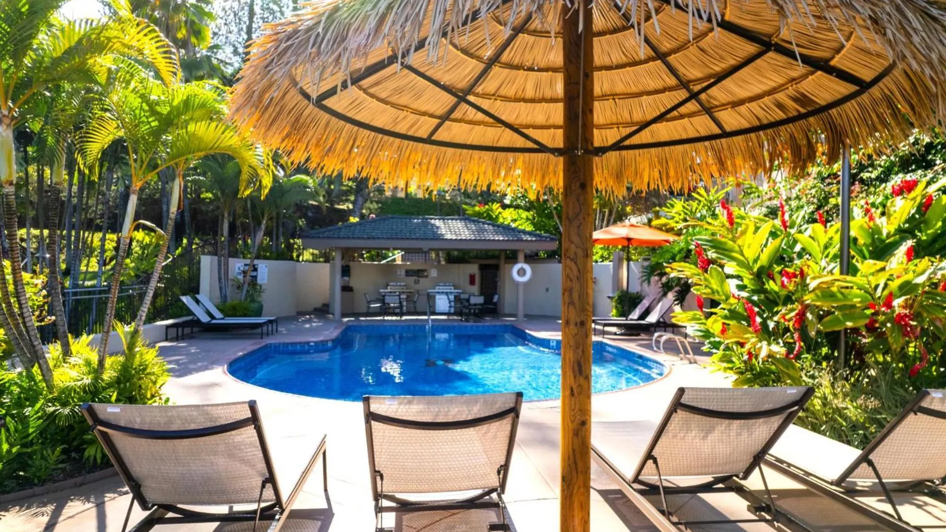 Apartment Kbm Resorts Free Car Kapalua Golf Villa Ocean View 1-Bedroom Condo Recently Remodeled Kgv-16T4